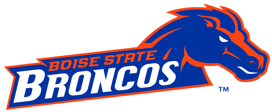 Boise State Broncos 2012-2013 Secondary Logo v3 iron on transfers for T-shirts